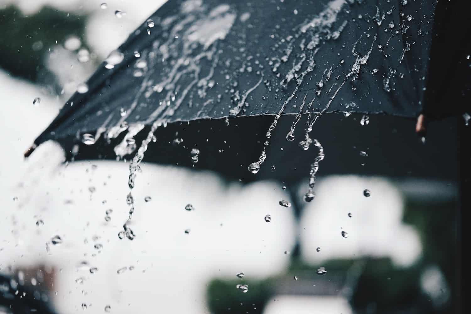 Crypto Insurance