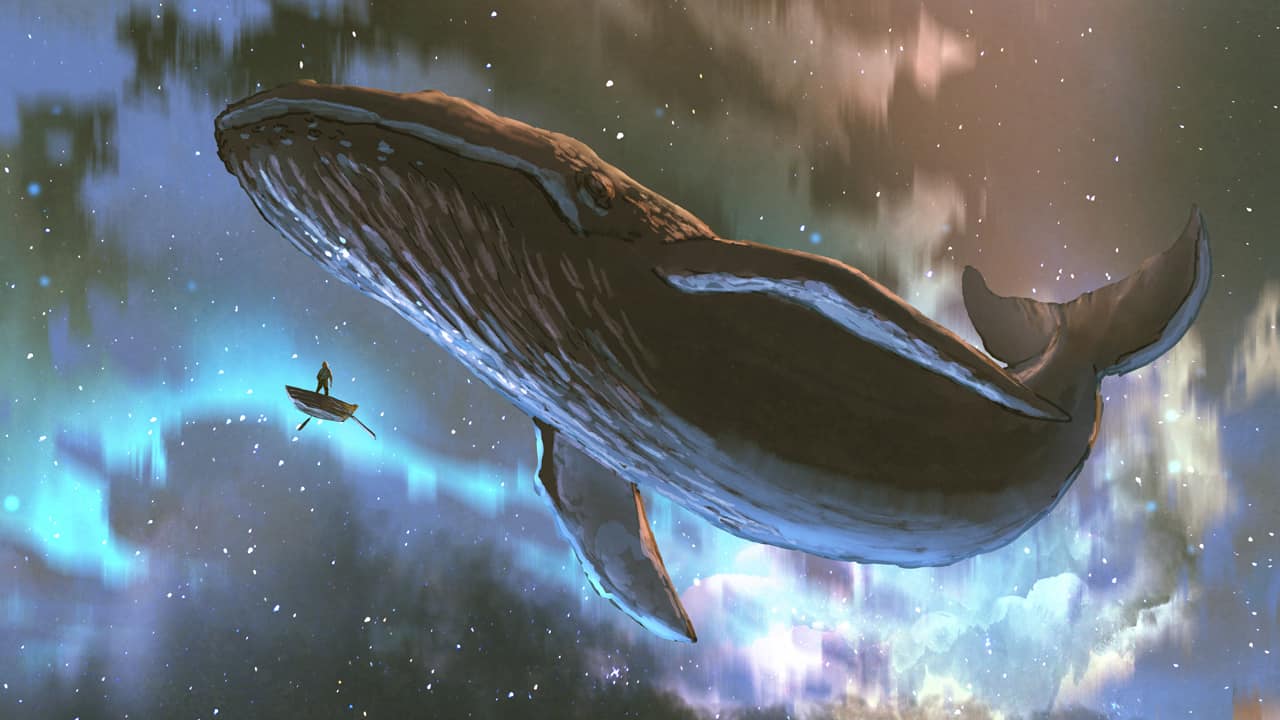 Crypto Whale Index 2023: Ranking The Largest Cryptocurrencies By Distribution of Whale Ownership