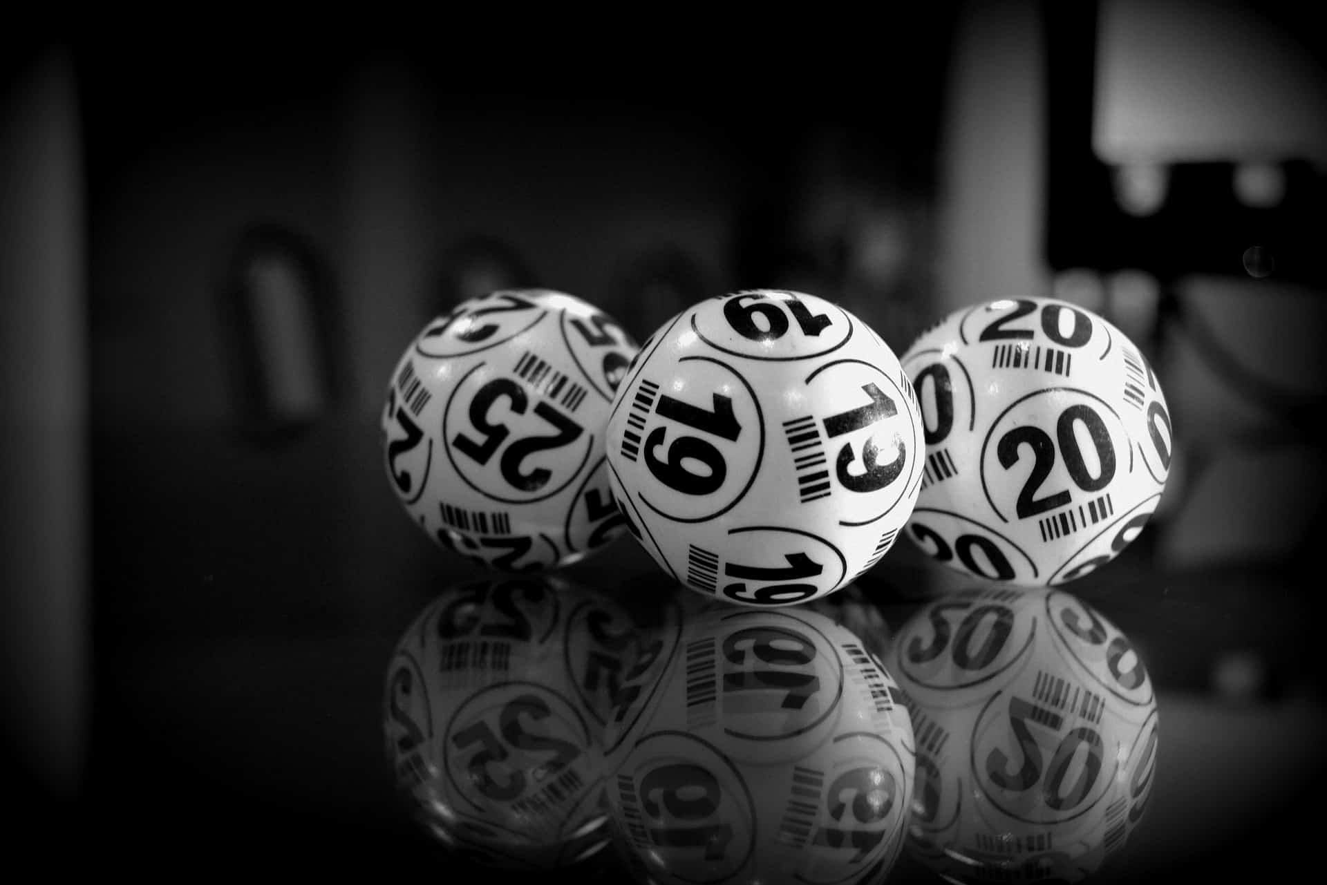 Newbies Bingo Room