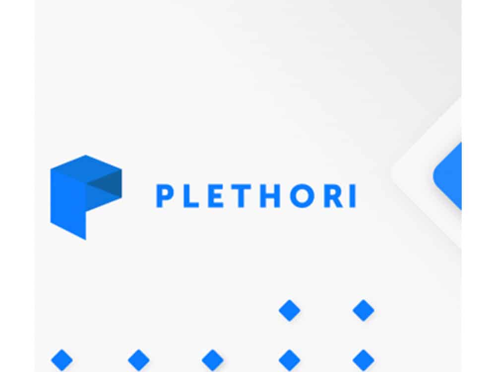 What Is Plethori Platform And How Does It Work?