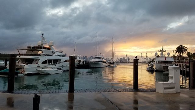 Miami Crypto Capital Miami Crypto Capital