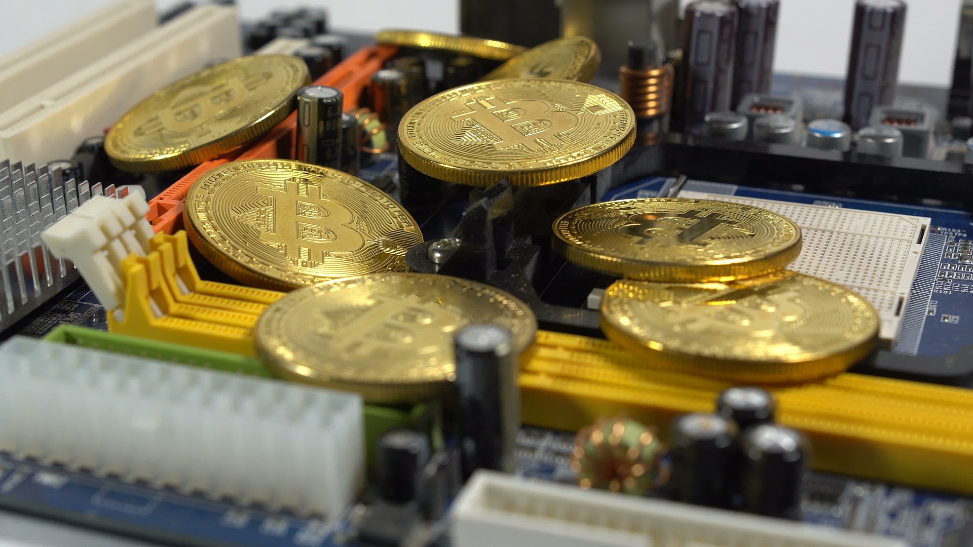 Crypto Adoption