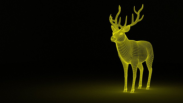 The Future of Web Design: What to Expect?
