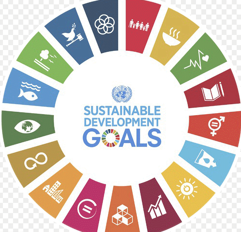 SDG Exchange’s CEO Talks to Us about Their Global Exchange Carbon Credit Platform