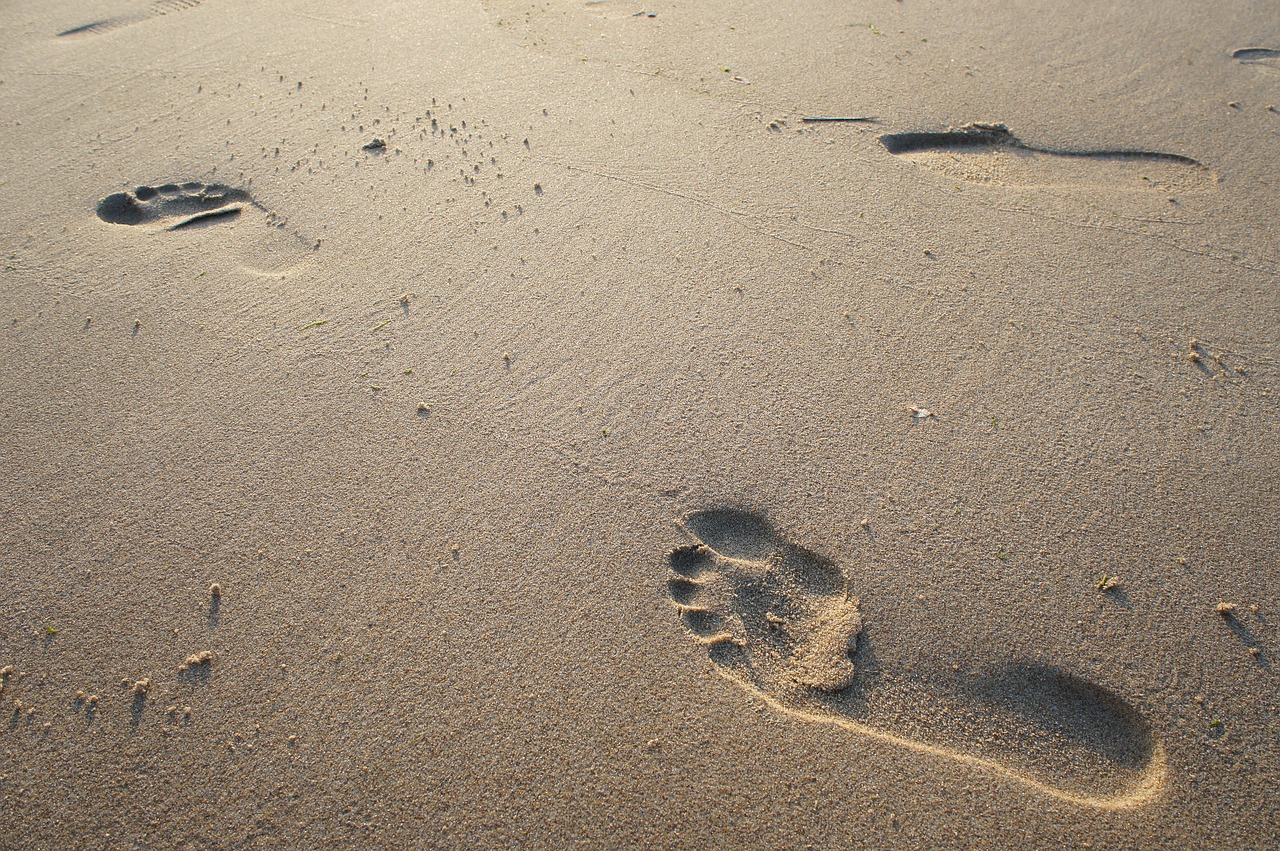 Footprint