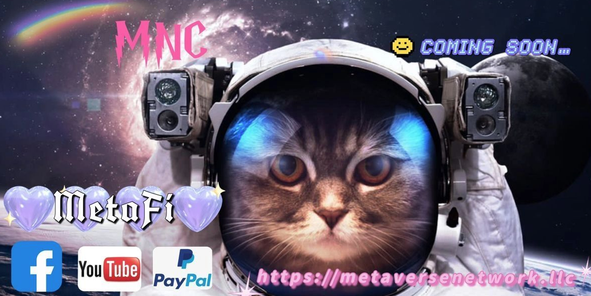 Metaverse Network
