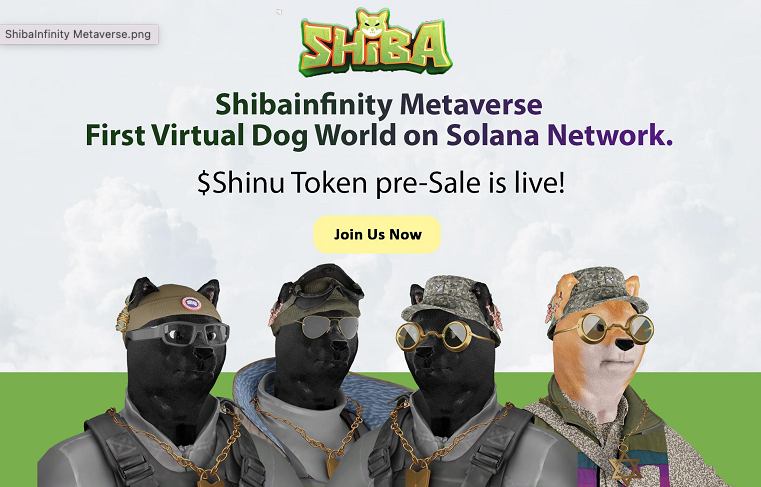 ShibInfinity Generates 10 Thousand Unique Shiba NFTs