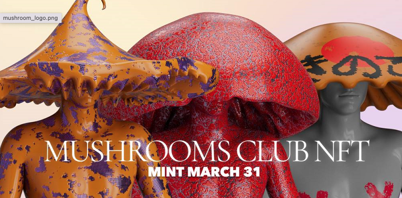 Mushrooms Club