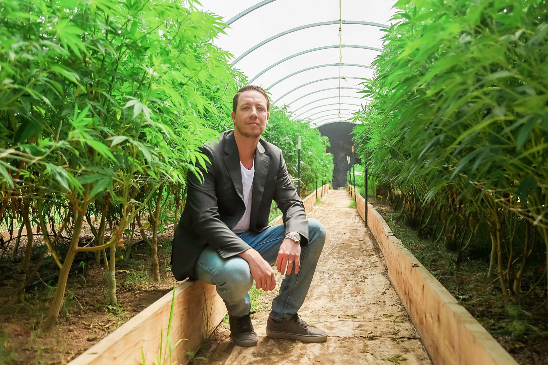 Cannabis and Real Estate in the METAVERSE…We talk to a Expert in both Fields- Ryan George of 420 Property