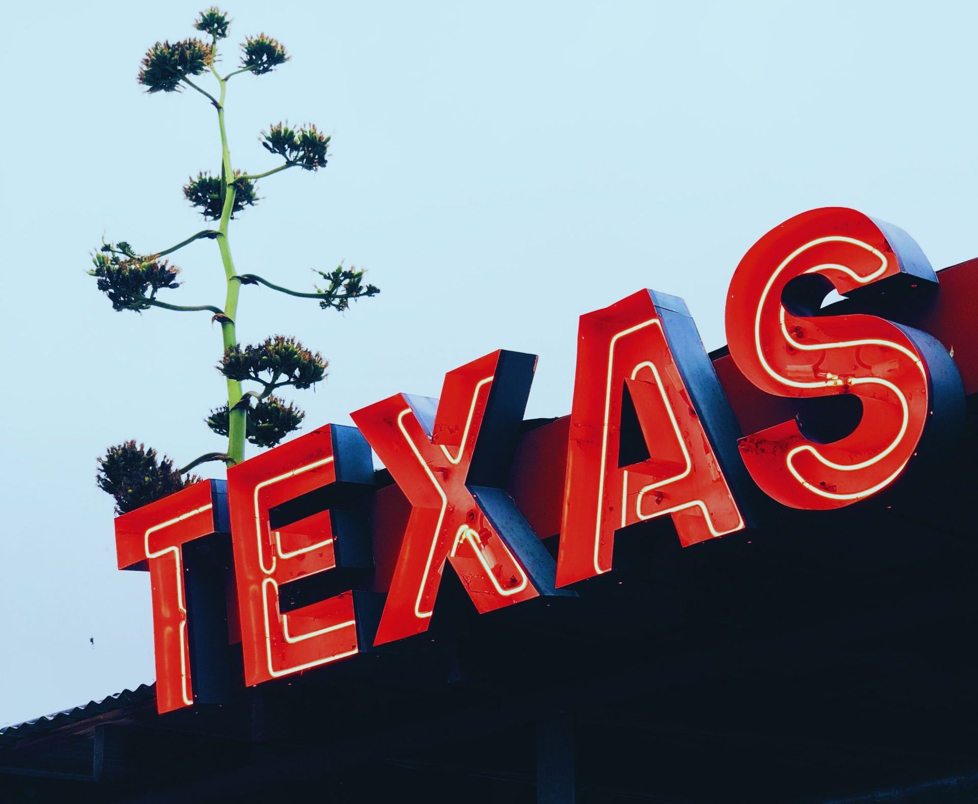 Bitcoin Texas