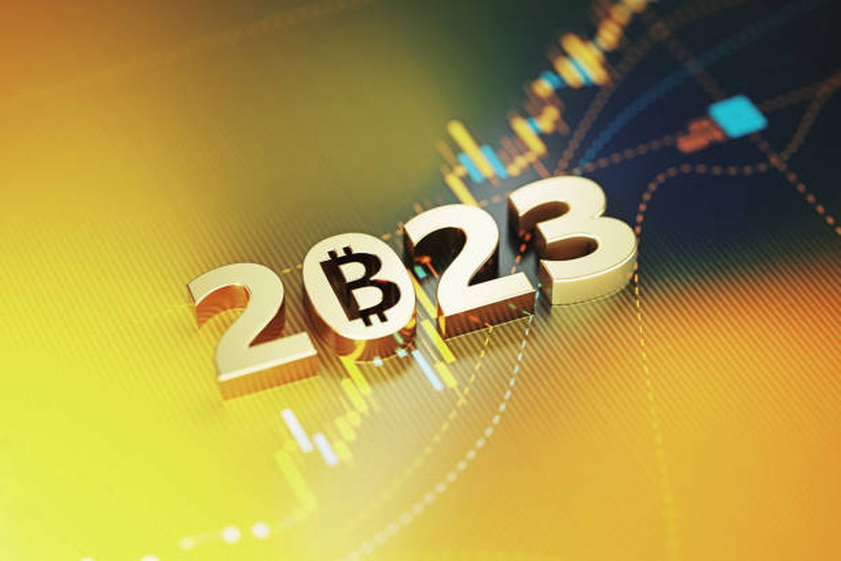 Bitcoin Awakens In 2023 From Crypto Winter Hibernation, What Pushed It?