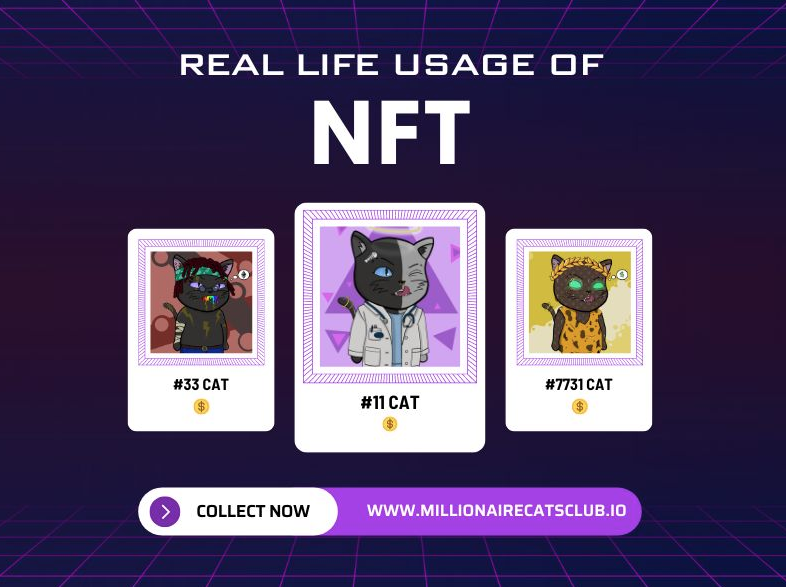 Millionaire Cat Club, NFT