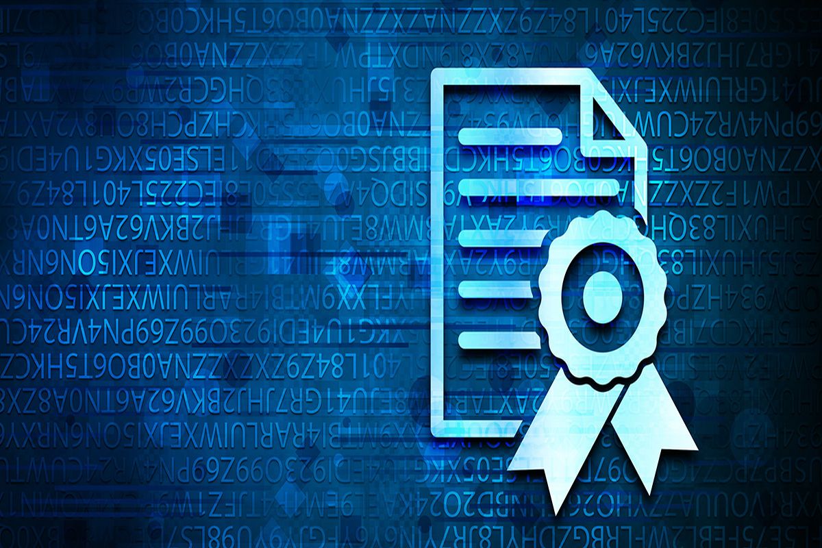 What Is A Digital Credential?