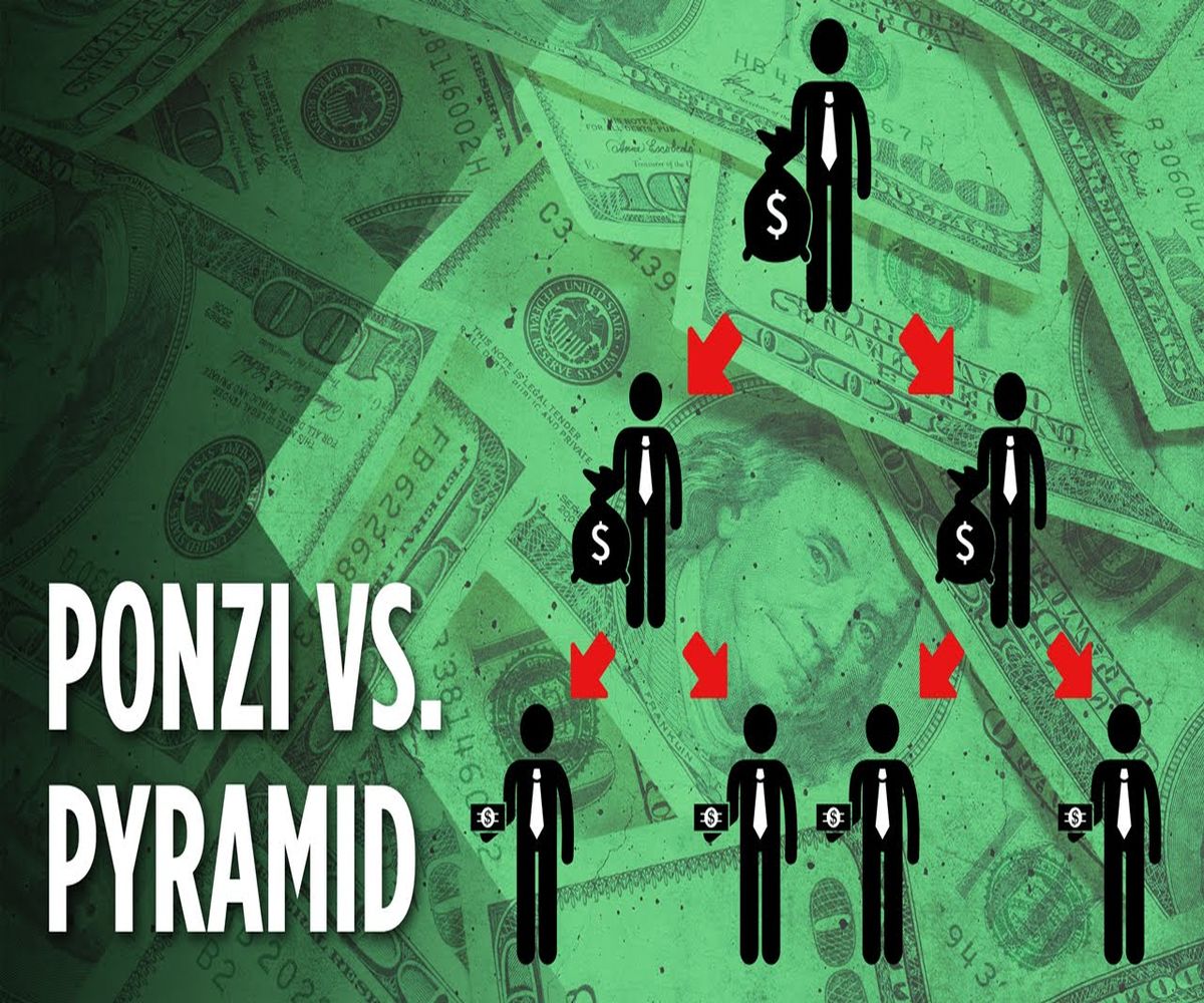 Unmasking the Schemer Showdown: Ponzi vs. Pyramid – Spot the Difference!