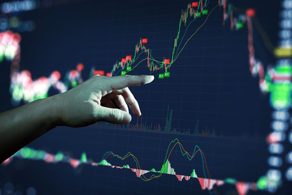Decoding Major and Minor Currency Pairs: A UAE Perspective
