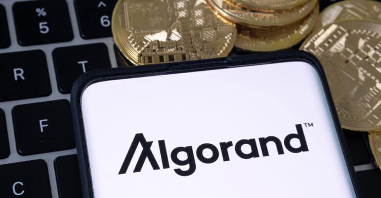 Navigating the Algorand Ecosystem: A Comprehensive Guide for Beginners