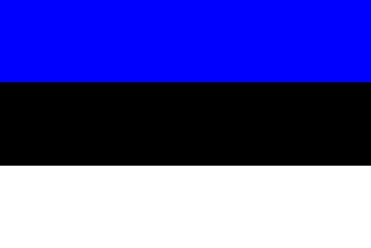 Estonia will Extradite Crypto Fraud Suspects to the US