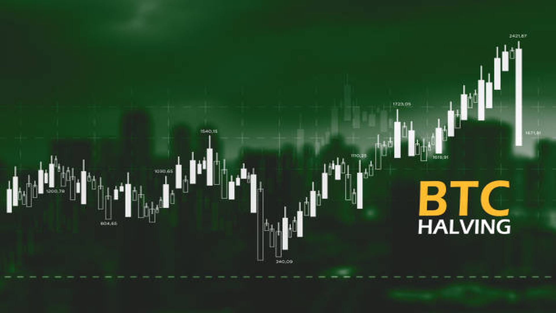 Top 5 Things You Do Not Know About Bitcoin Halving And BTC Price