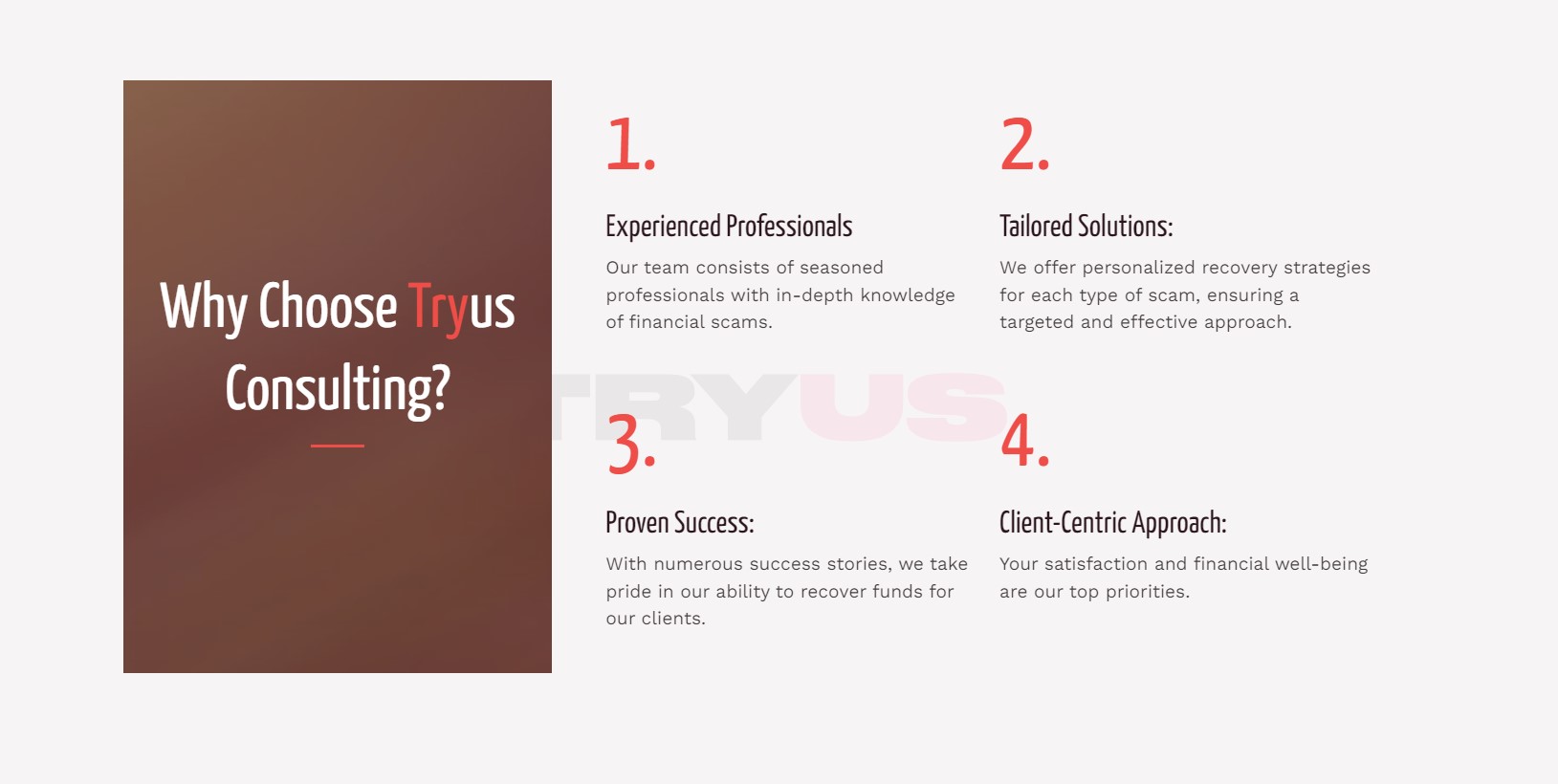 Try Us Consulting tailored solutions