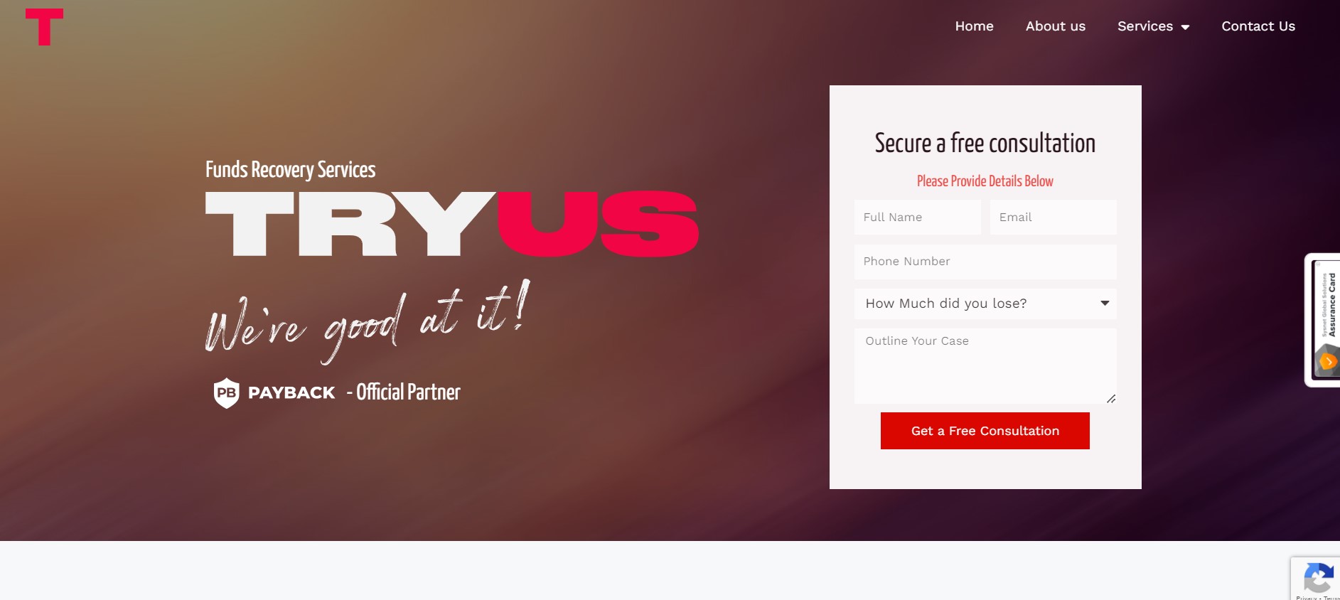 Try Us Consulting website