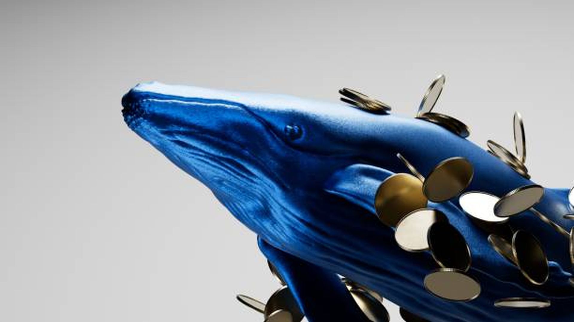 How Crypto Whales Hide Their Identities